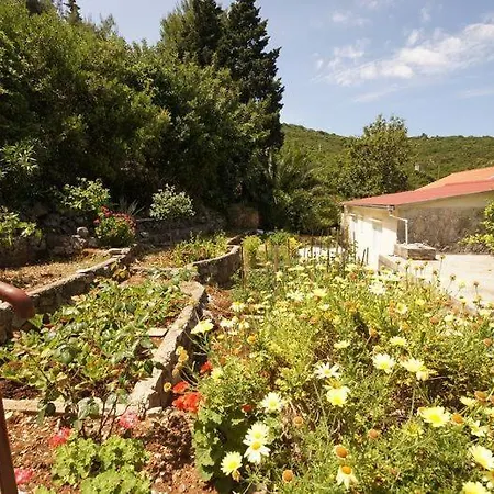 בית נופש House Paulo1 *