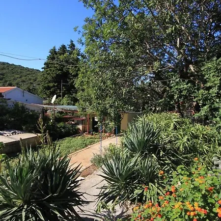 House Paulo1 *
