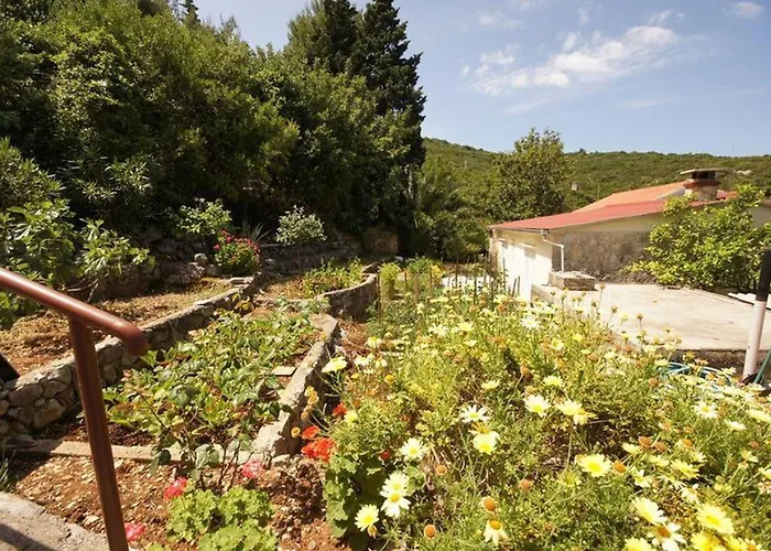 Prázdninový dům House Paulo1