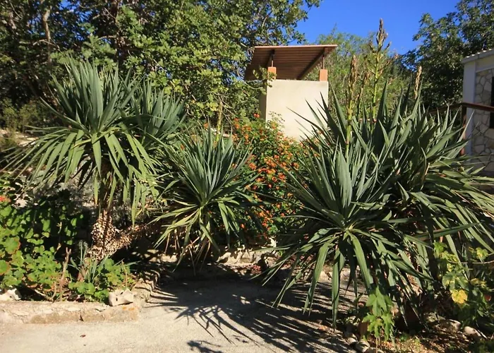 House Paulo1 * Rogacic